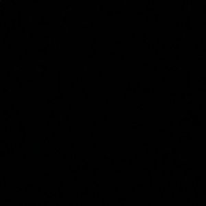 Meet your Posher, Lexi